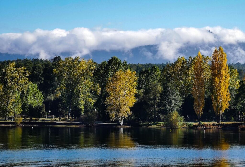 calm lake with trees and low cloud