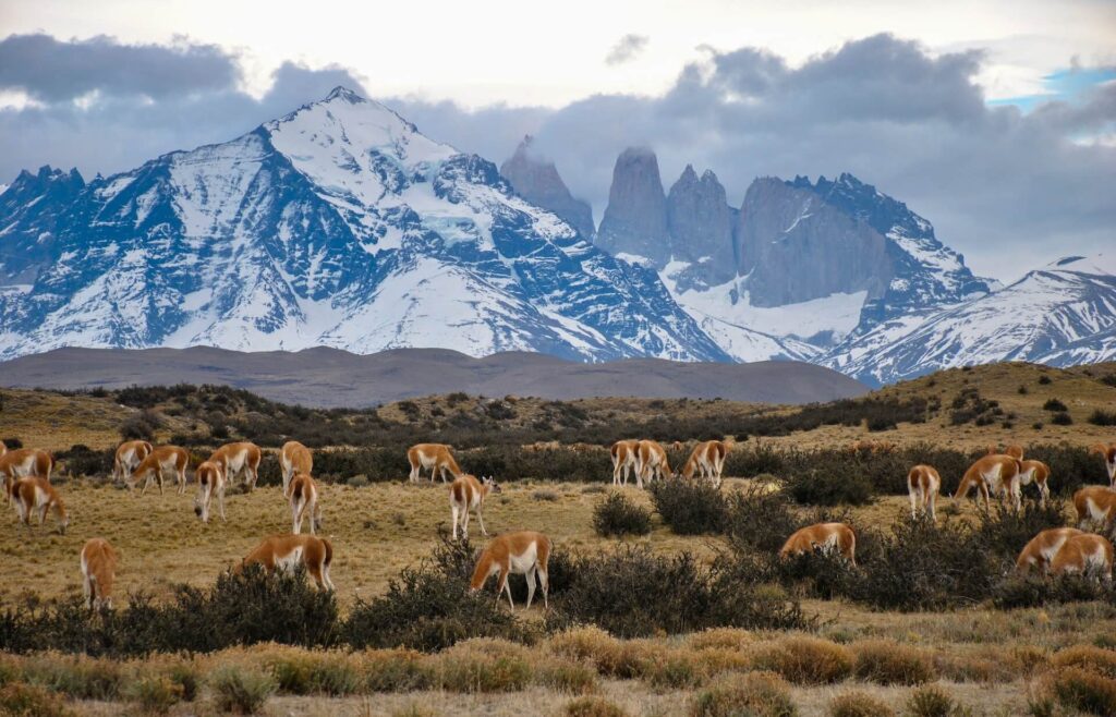 travel chile in patagonia snow on mountains