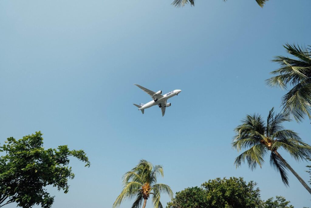 plane flying through blue sky with palm trees around it