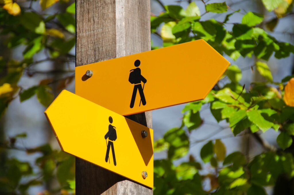 yellow sign posts against vines